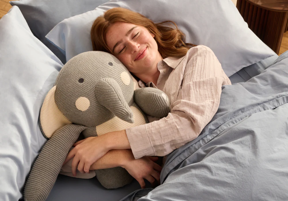 Additional_Image_2_b5eaf005-424f-4906-ae77-18c488137121 AI-powered plush companions